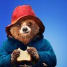 PaddingtonBear