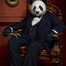PandaKingBlazen35