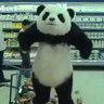 Pandita22