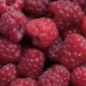 Raspberry