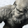 Sasquatch