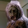 Scotty2025