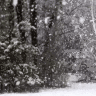 Snow_incognito