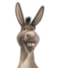 TheDonkey