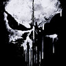 ThePunisher666