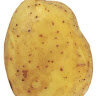 TheRawPotato30