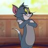 Tomlovesjerry
