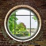 Windowbrain
