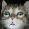 aizuked