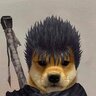 awilddoggo01