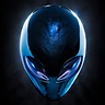 berryracer