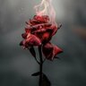 dmill_46