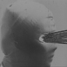 facehugger9
