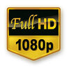 hdguy