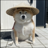 hutyo