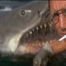 jaws1975