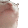 kript