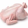 pouletxl