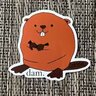 realbeaverbeliever