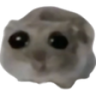 sihzz