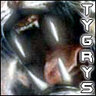 tygrys