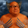 wolverine