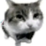 yooryujip